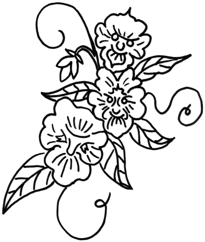 Heartsease Viola Tricolor Flower  Coloring Page